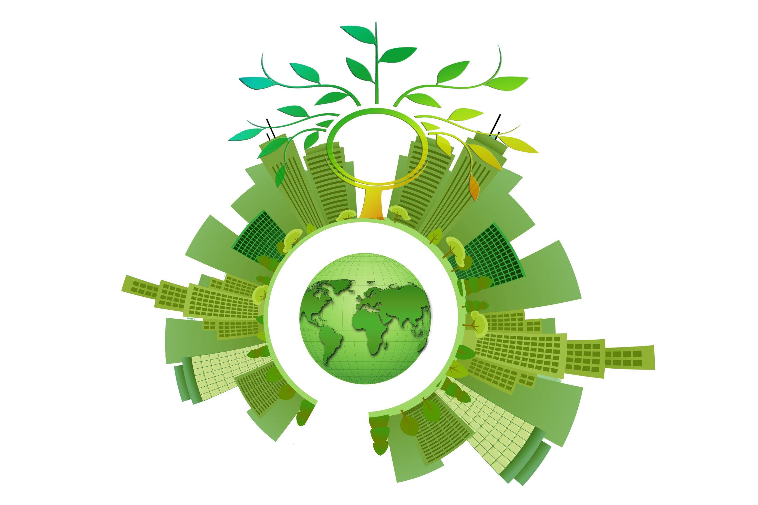 sustainability-3295757